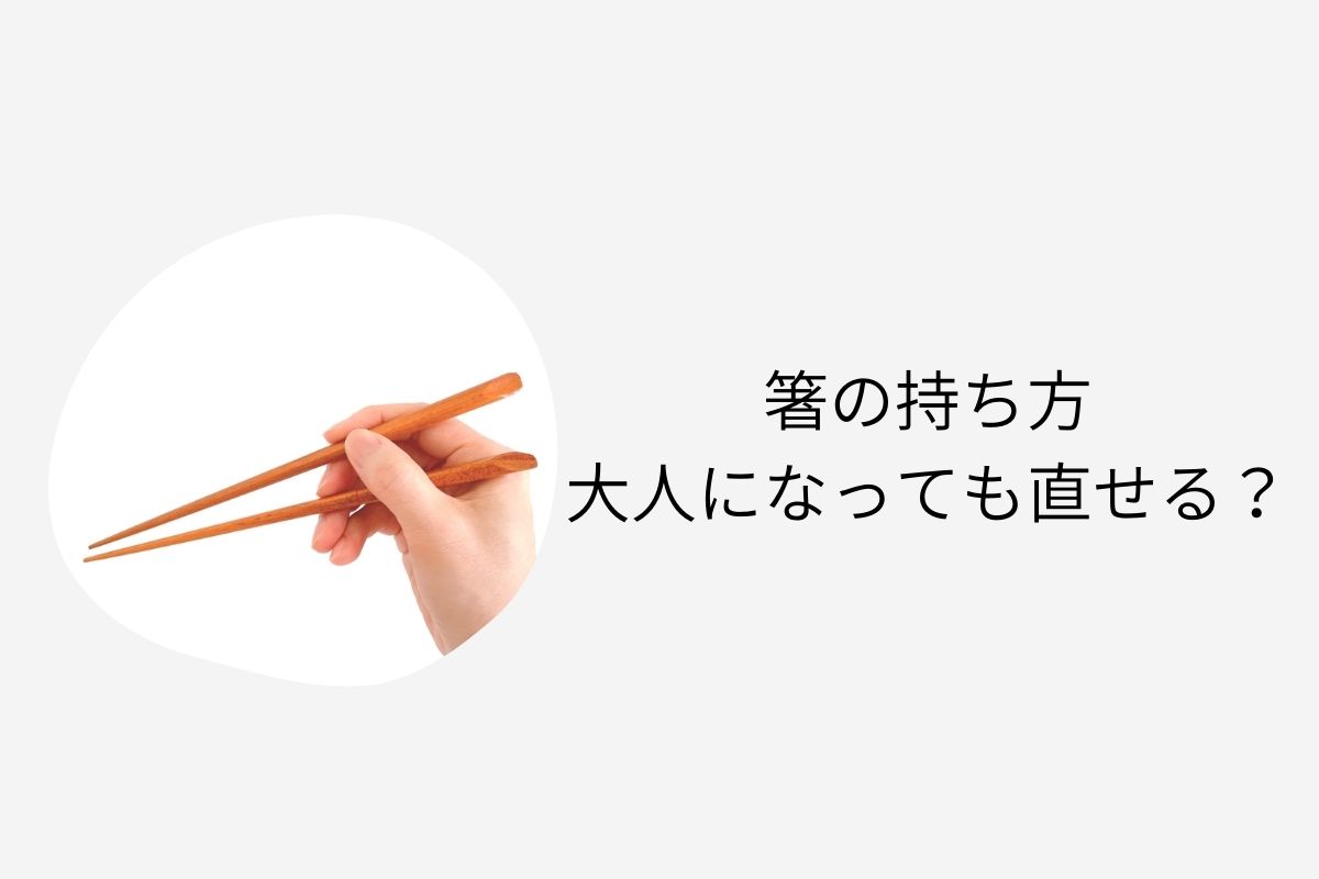 実体験を紹介 箸の持ち方大人になっても直せる ゆうまるぶろぐ